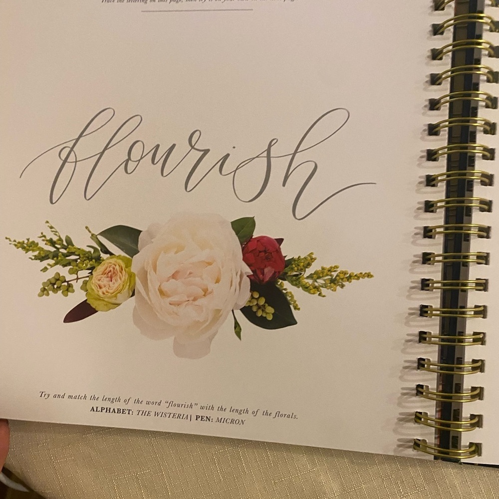 Modern Calligraphy & Hand Lettering For Beginners - Picture 4 of 7